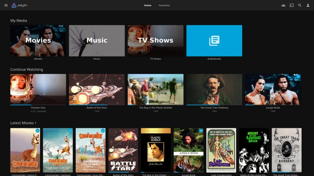 Jellyfin home screen: libraries and continue watching
