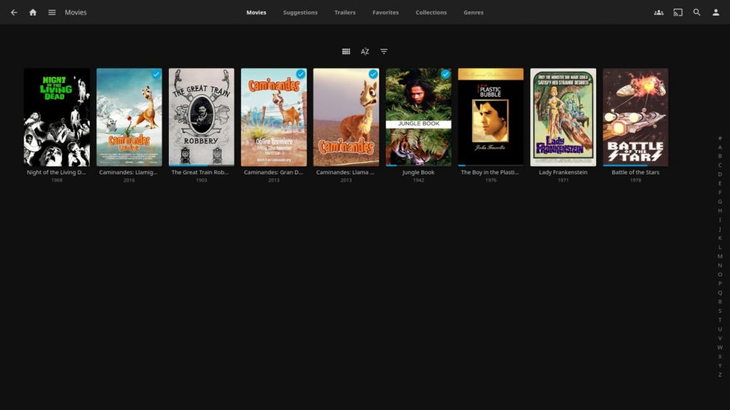Jellyfin movie library