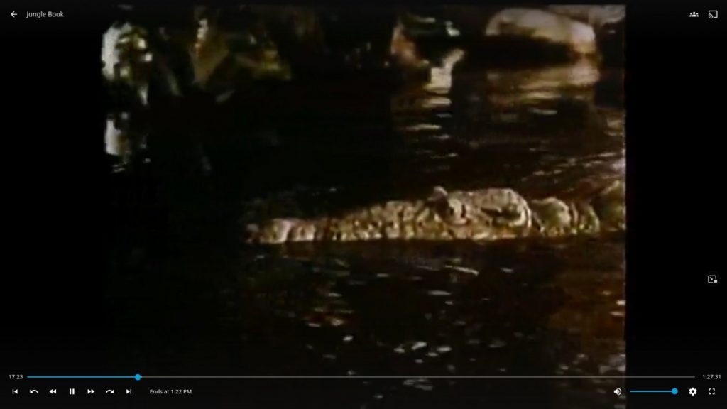 Jellyfin video playback