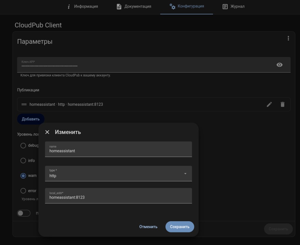 Конфигурация CloudPub Client: публикация homeassistant:8123