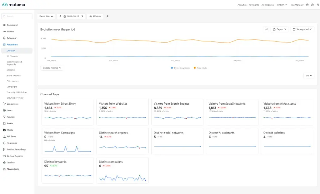Matomo acquisition overview in English: search, websites, social networks, and direct entry