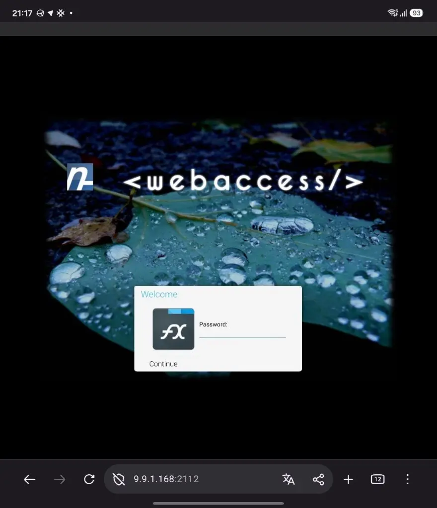 Страница входа FX Web Access в браузере: поле Password